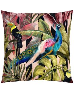 Toucan and Peacock Outdoor Cushion